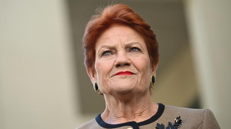 'Economically disastrous': Hanson's super policy panned