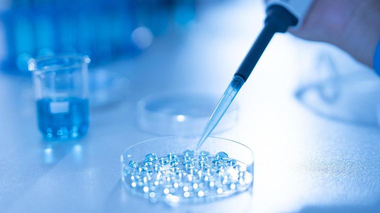 Rise in Australian women seeking to freeze their eggs as social and medical issues hamper having a family
