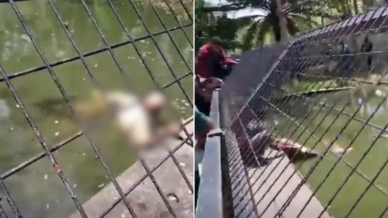 Papua New Guinea: Crocodile handler dies after brutal attack at Adventure Park in Port Moresby