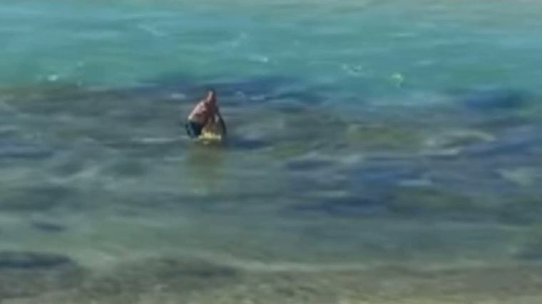 Off-duty lifeguard praised after making mass rescue on NSW Central Coast