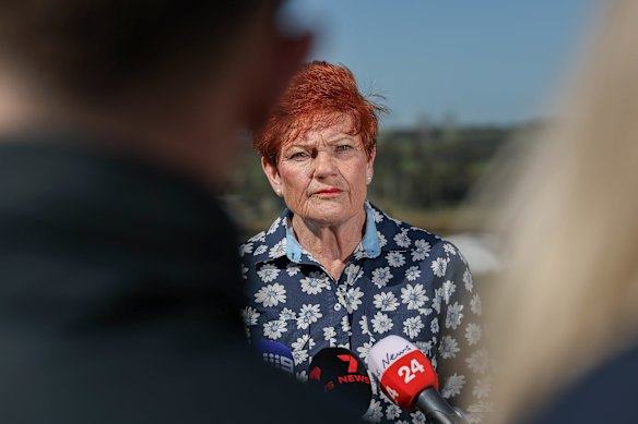 ‘Victim blaming’: Hanson demands apology as claims of inciting violence continue