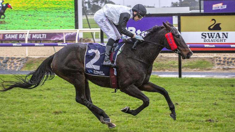 Dual feature race acceptor Ginger Baker is likely to go to Farnley Stakes in favour of Coolgardie Cup defence