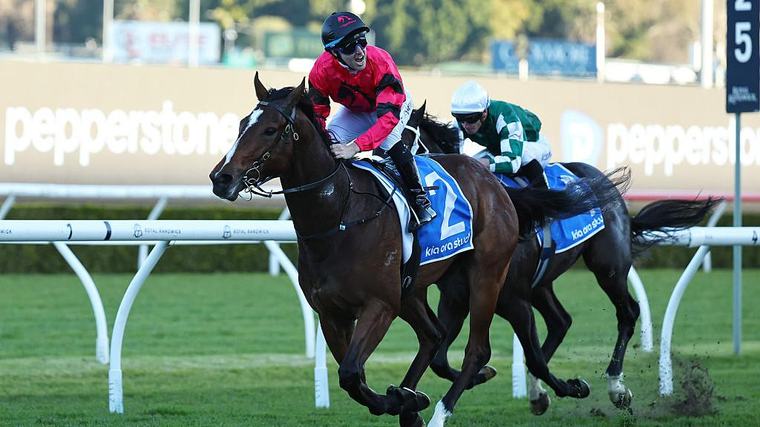 First runner for The Everest confirmed as Ninja locked in