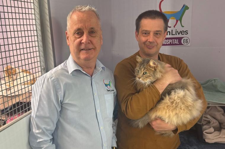 Shelter short of carers as kitten season looms
