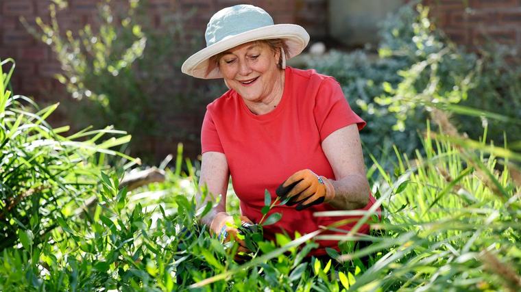 Sabrina Hahn: How to remove oxalis weeds and tips on African violet and paint brush plants