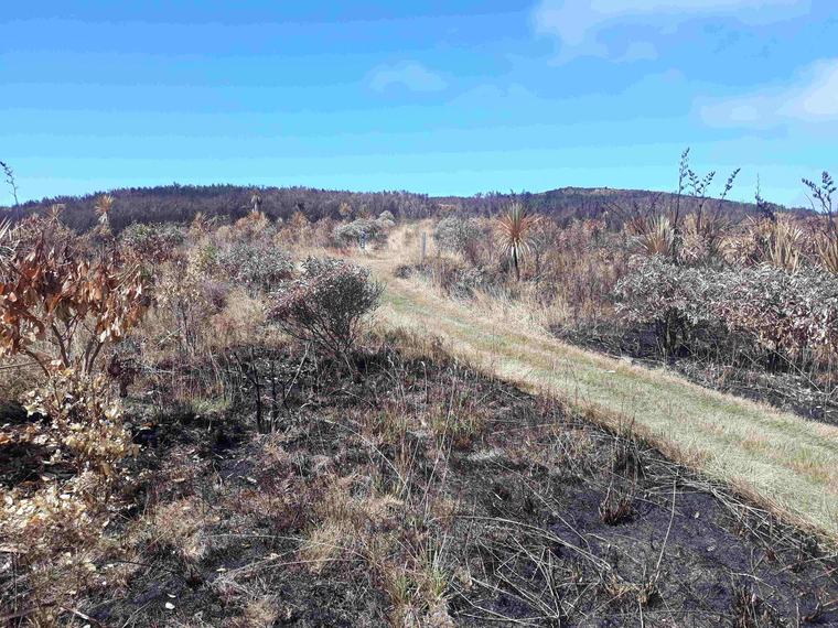 Port Hills Research Reveals ‘fire Trap’