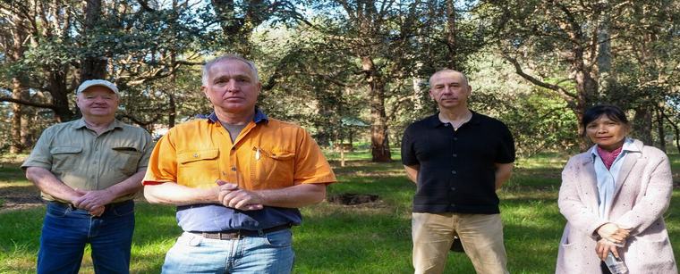 Call for rezoning rethink to protect endangered parrots in Sydney's inner west