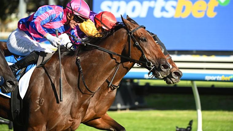 Race-by-race preview and tips for Muswellbrook on Tuesday