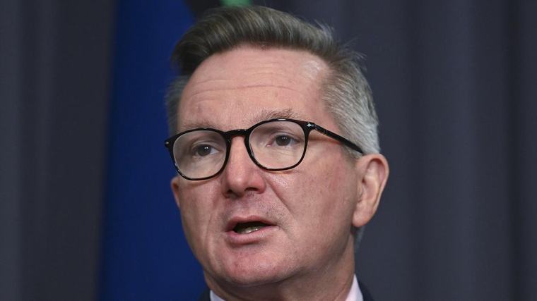 MARK RILEY: Chris Bowen’s embarrassing backdown as green data dream takes major blow